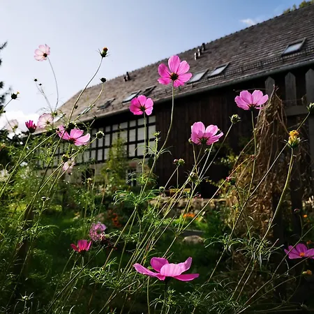 Holiday home I Chleb Klopotnica