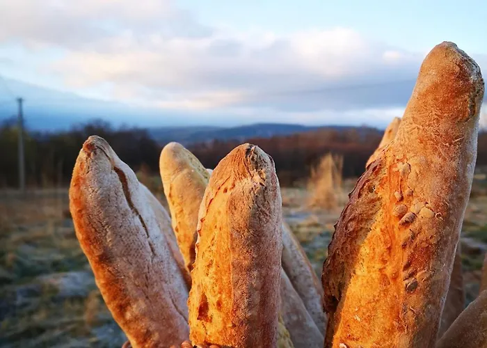 Holiday home I Chleb Klopotnica